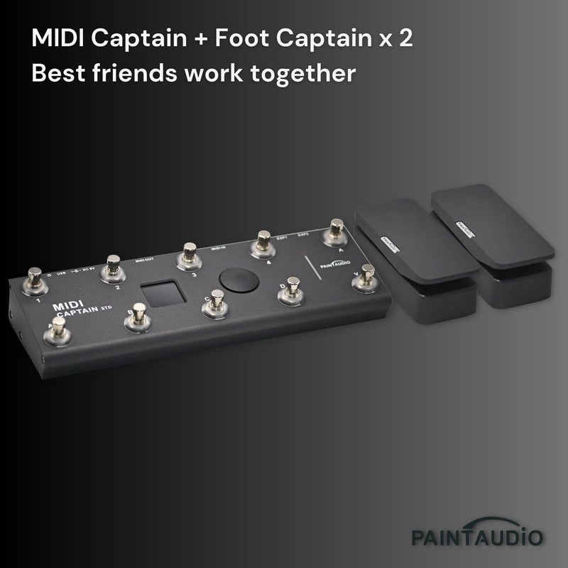 PAINTAUDIO Paint Audio Foot Captain Dual Outputs Expression Pedal Multi-effects Compatible for Tip/Ring Connection (Foot Captain) - Image 5